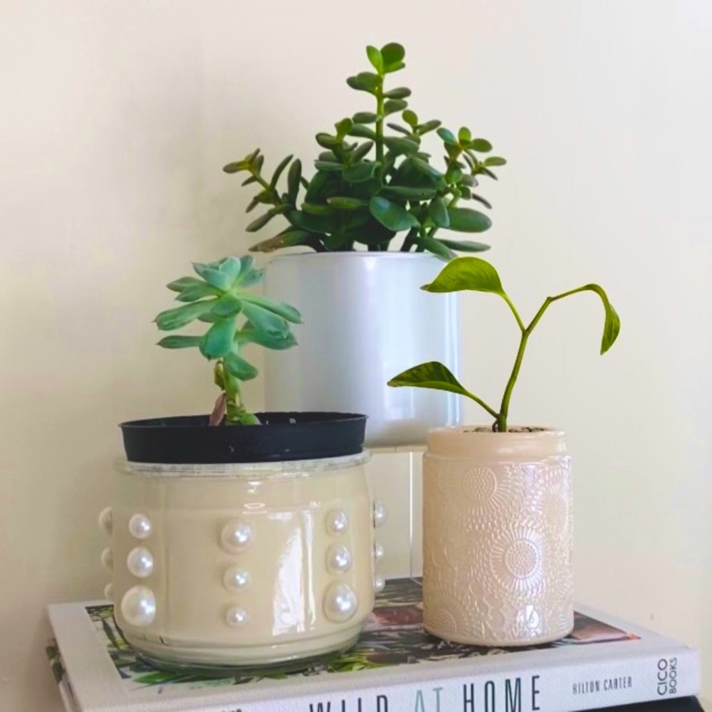 Set of 3 Recycled Plant Pots